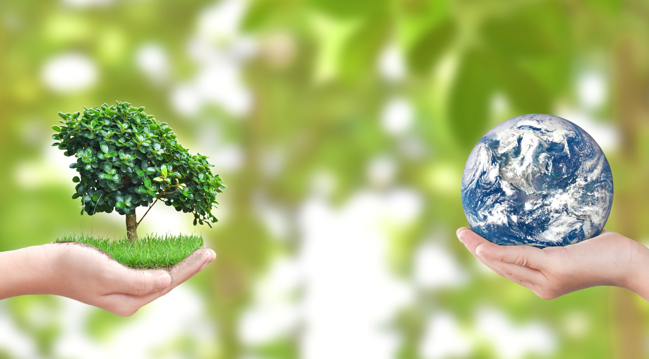 HOLOSS Safe and Sustainable by Design solutions